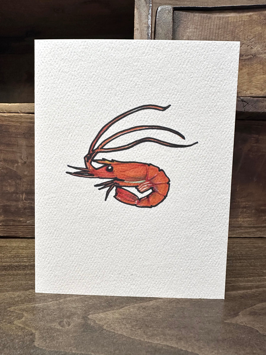 notecards: THE DIVE
